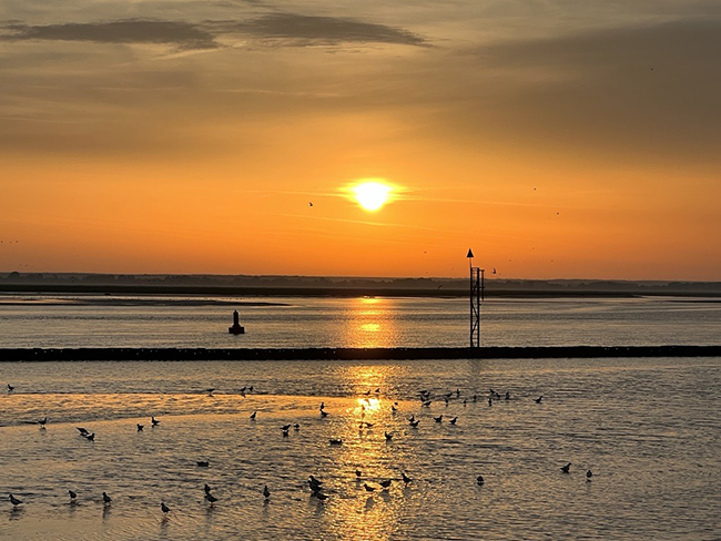 Sunsetting at the beach.