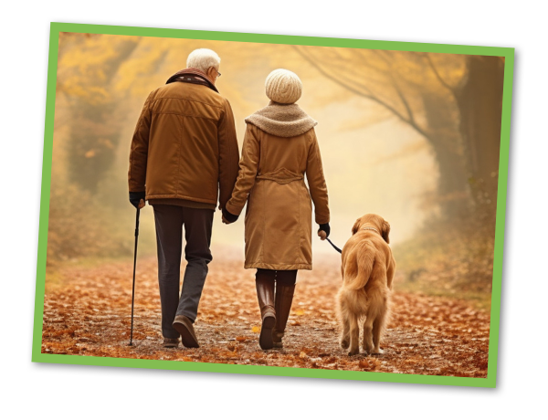 Elderly couple walking their dog on a forest trail